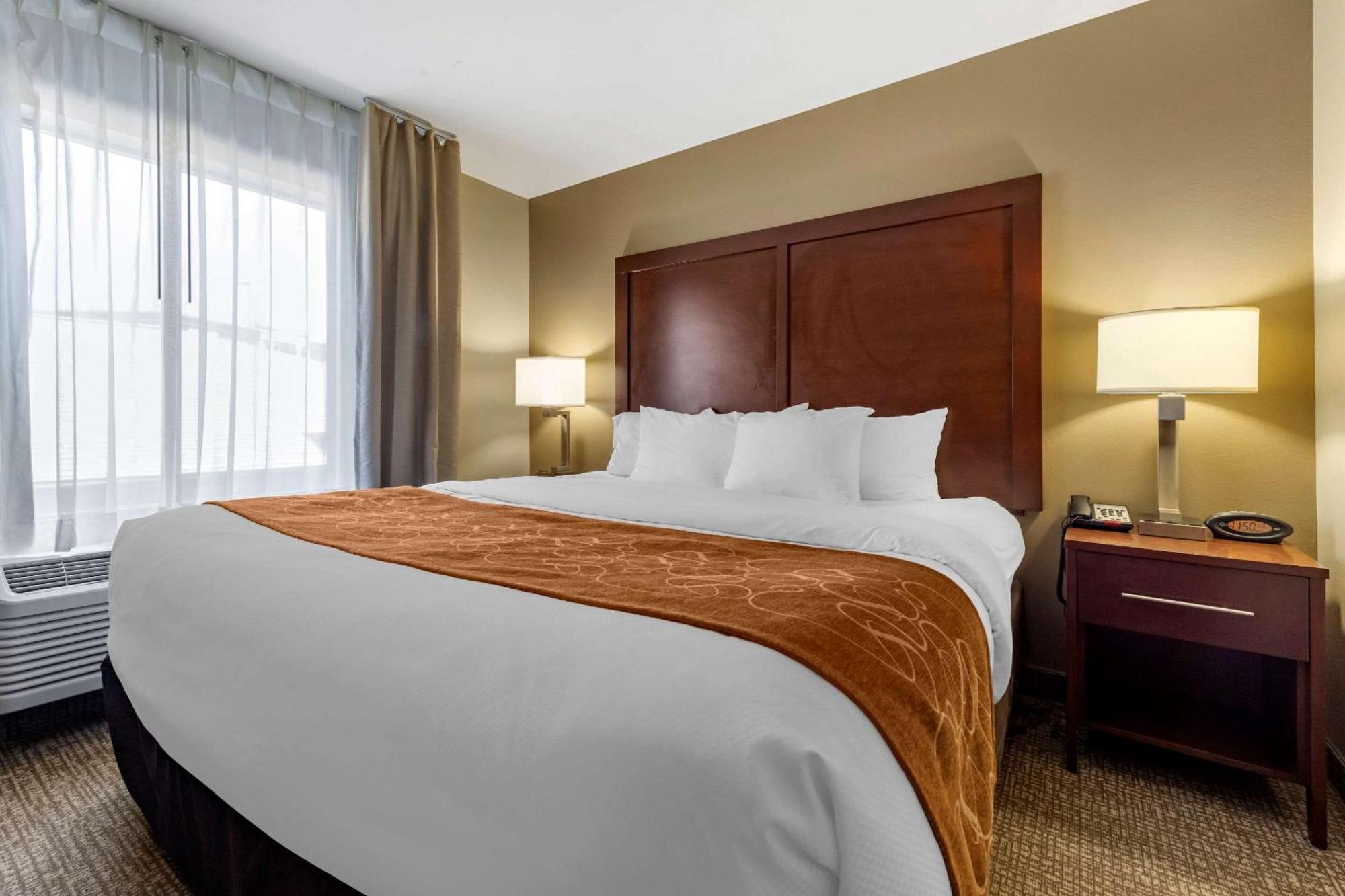 Comfort Suites Bridgeport - Clarksburg Room photo